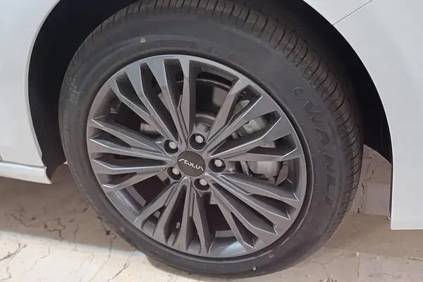 دانگ فنگ، شاین مکس