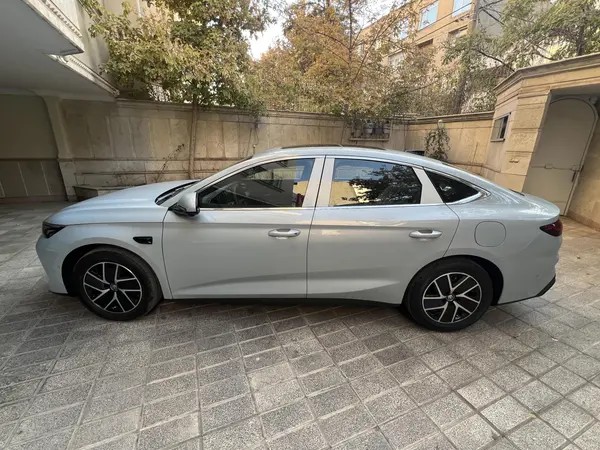 بی وای دی، چین L