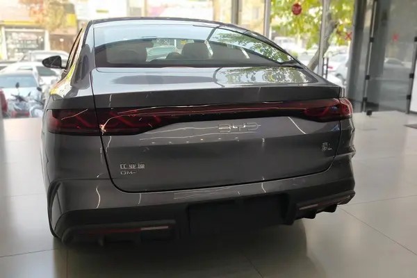 بی وای دی، چین L