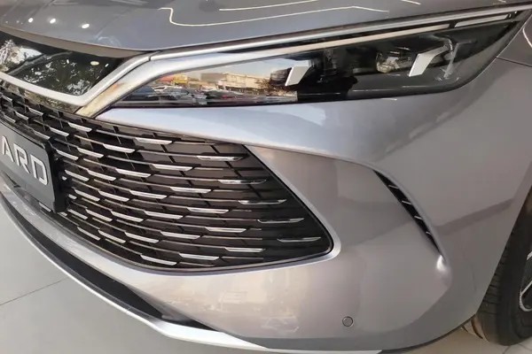 بی وای دی، چین L