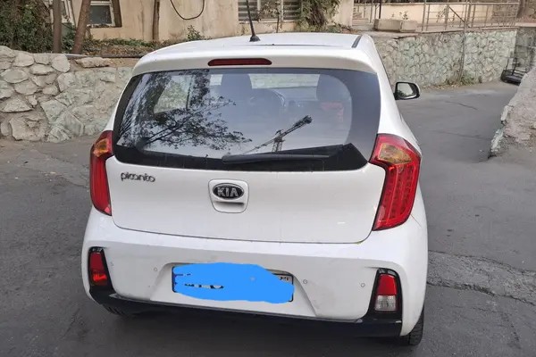 کیا، پیکانتو