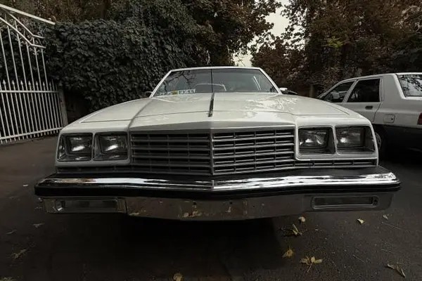 بیوک، لسابر