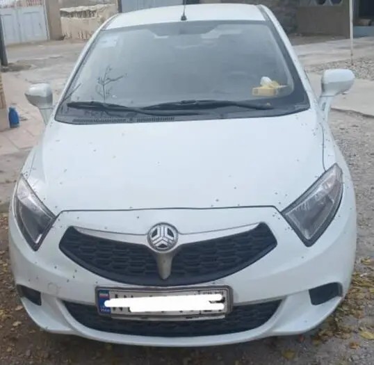 برلیانس، H220