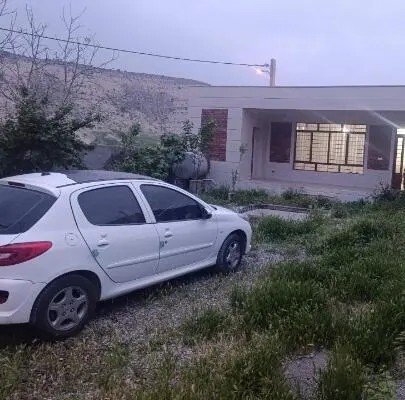 پژو، 207