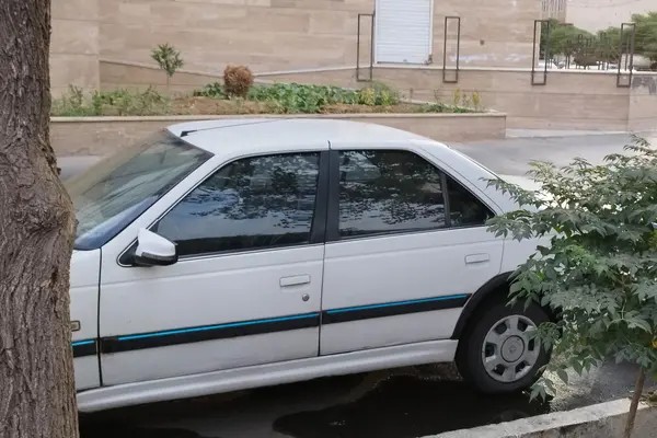 پژو، پارس