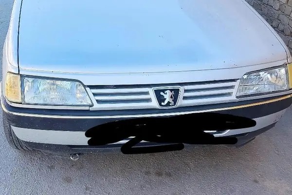 پژو، 405