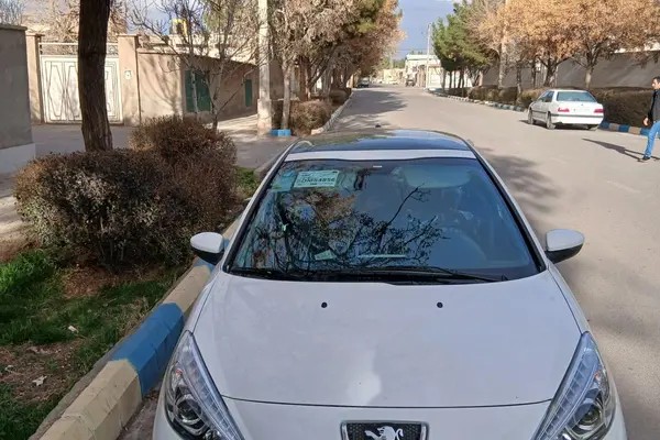 پژو، 207