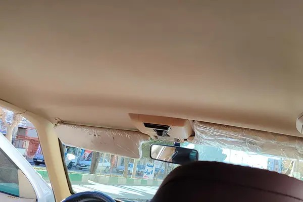 پژو، پارس