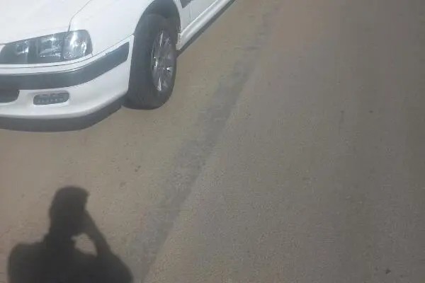 پژو، پارس