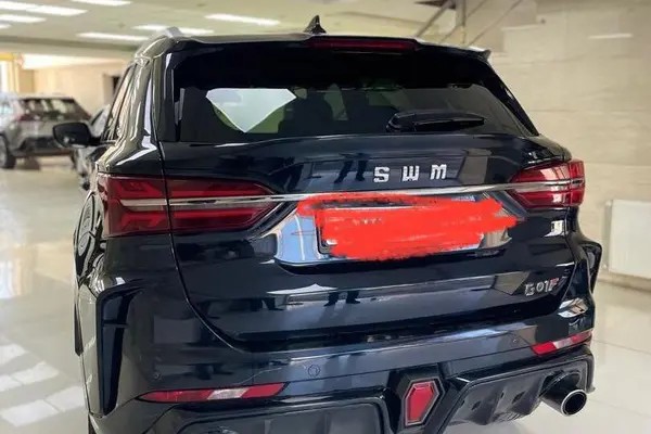 اس دبلیو ام، G01F