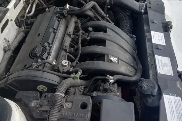 پژو، پارس