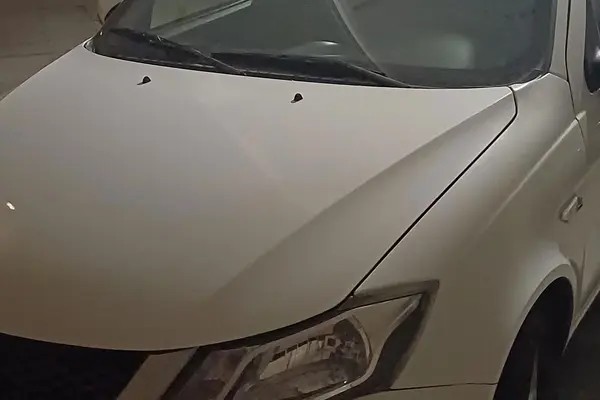 ساینا، S