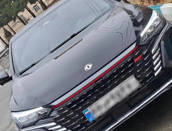 دانگ فنگ، شاین مکس