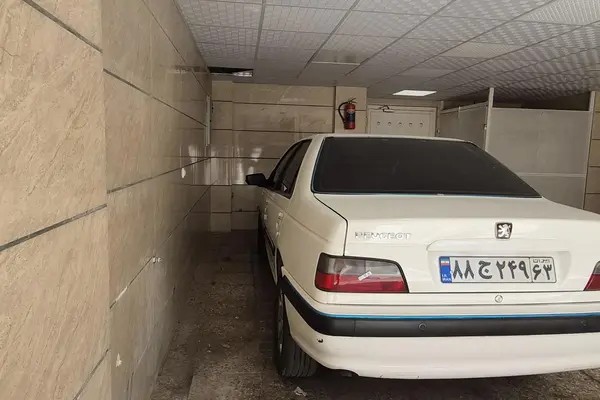 پژو، پارس