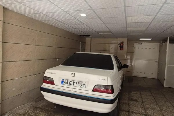 پژو، پارس