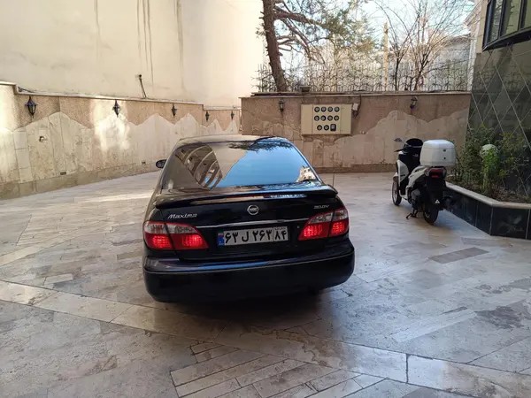 نیسان، ماکسیما