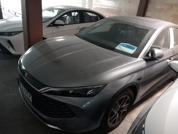 بی وای دی، چین ال DMi