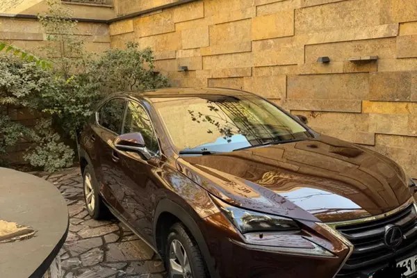 لکسوس، NX هیبرید