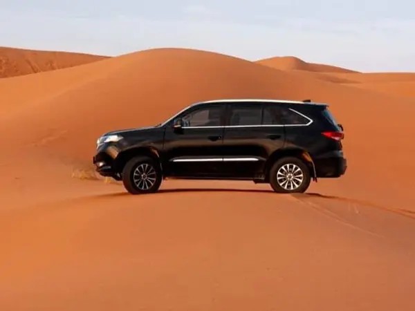 دایون، Y7