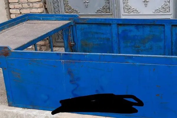 زامیاد، وانت نیسان