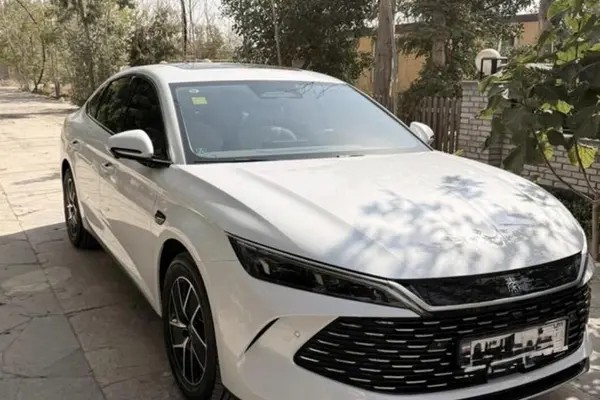 بی وای دی، چین ال DMi