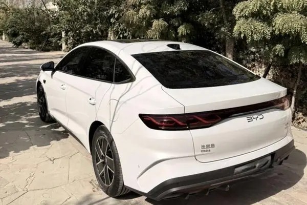 بی وای دی، چین ال DMi