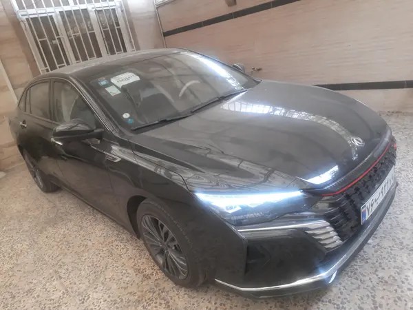 دانگ فنگ، شاین مکس