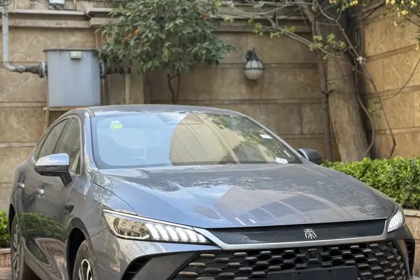 بی وای دی، چین ال DMi