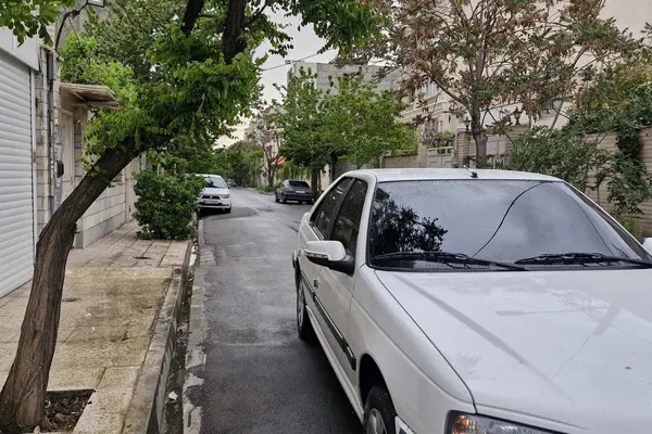 پژو، پارس