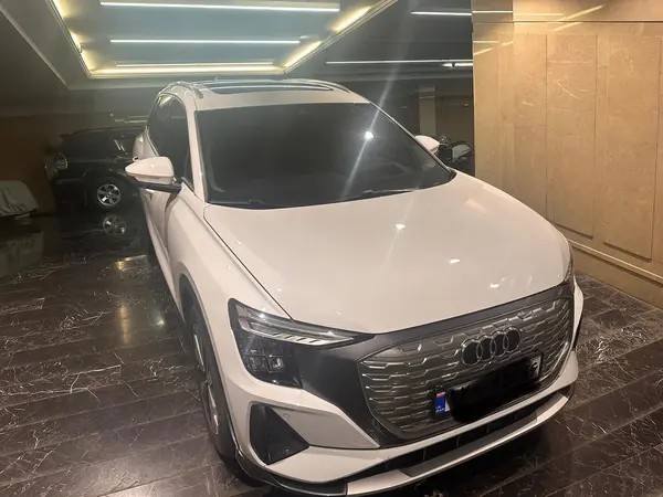 آئودی، Q5 e-tron