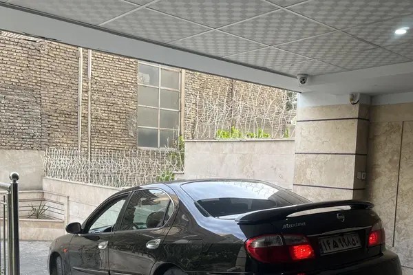 نیسان، ماکسیما