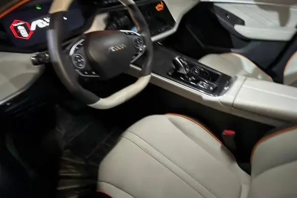 دانگ فنگ، شاین مکس