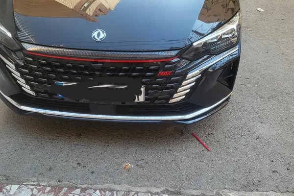 دانگ فنگ، شاین مکس