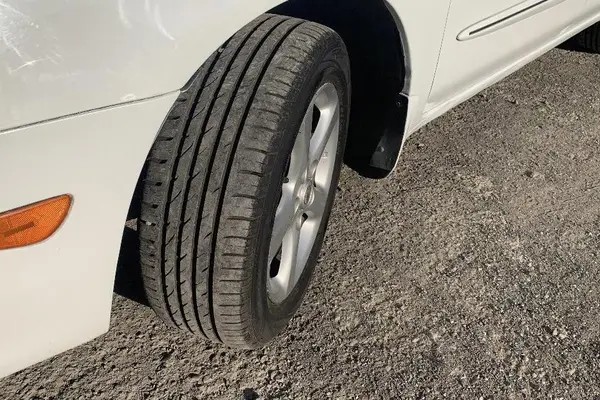 نیسان، ماکسیما