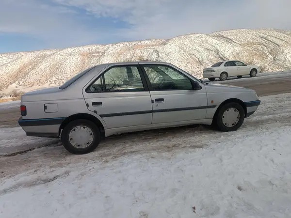 پژو، 405
