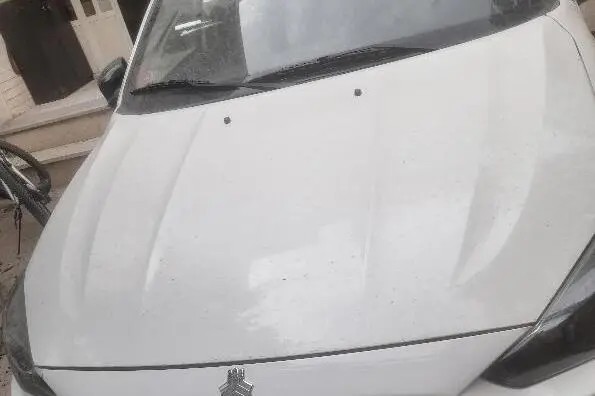 اطلس، دنده ای