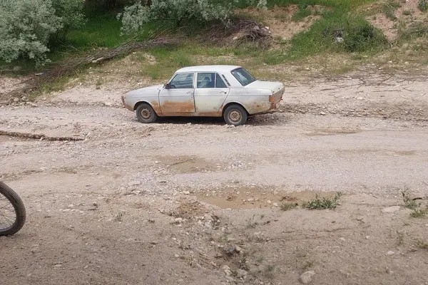 پیکان، سدان