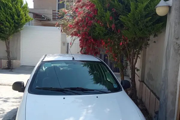 تیبا، صندوق دار