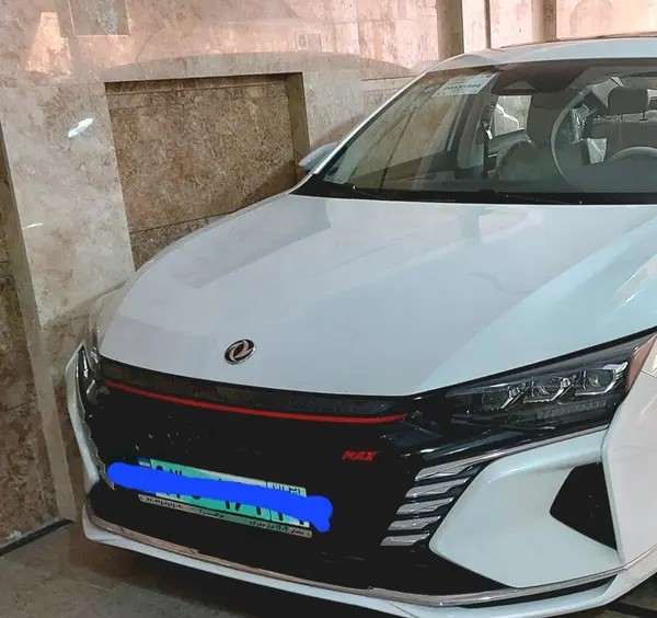دانگ فنگ، شاین مکس