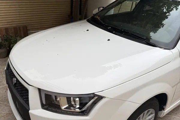 دنا، پلاس EF7P