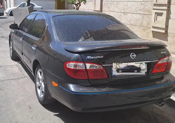 نیسان، ماکسیما