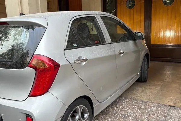 کیا، پیکانتو