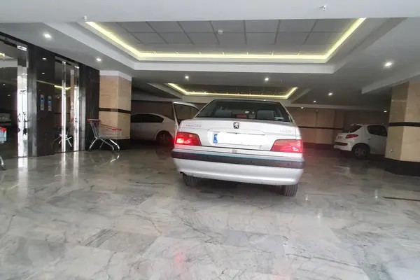 پژو، پارس