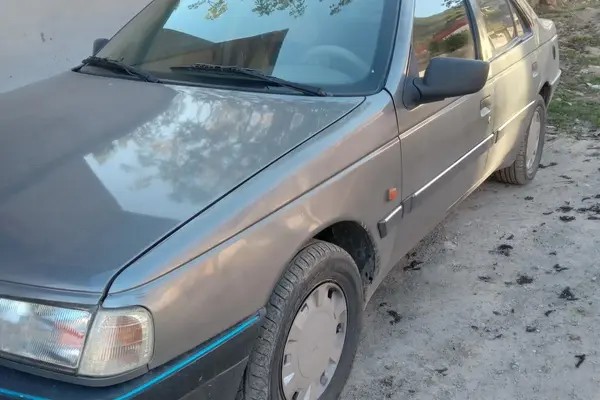 پژو، 405