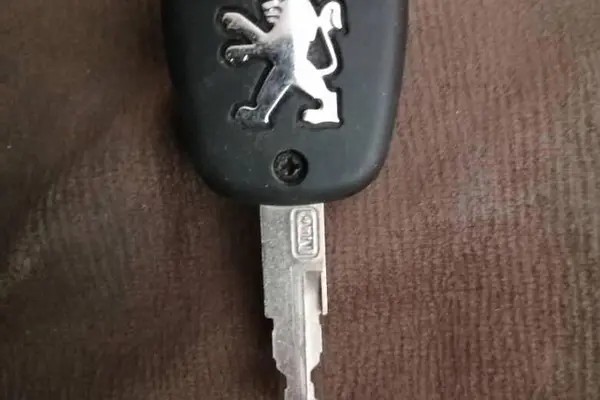 پژو، پارس