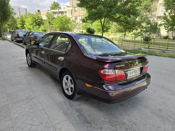 نیسان، ماکسیما