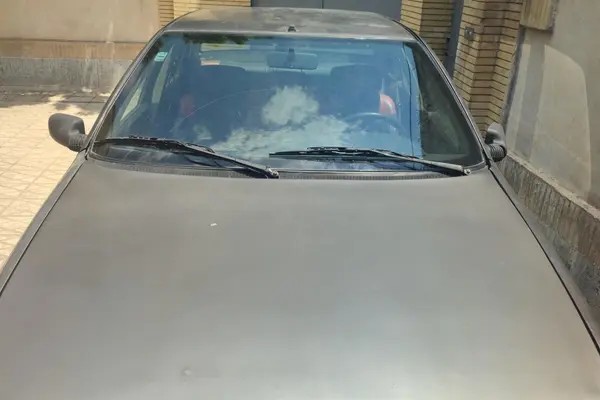 پژو، روآ
