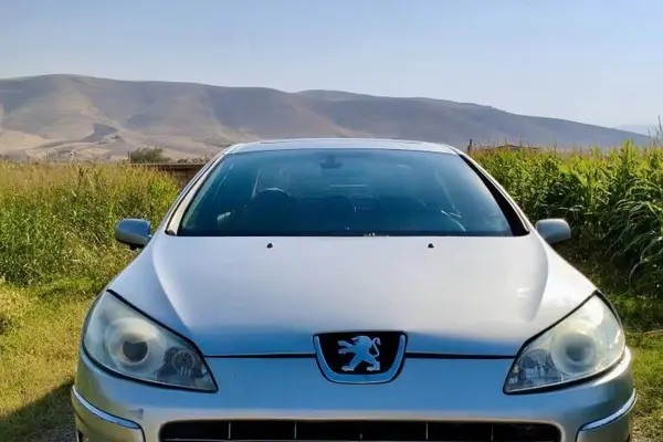 پژو، 407