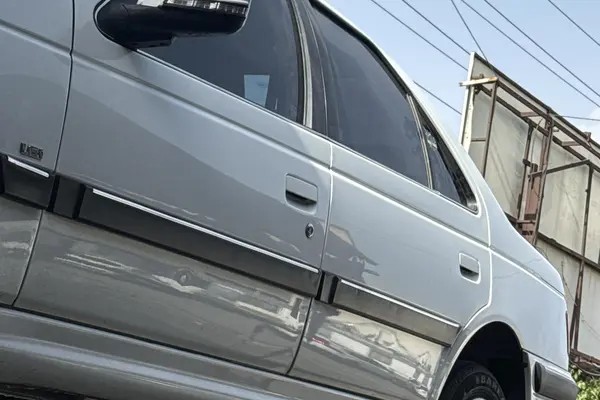 پژو، پارس