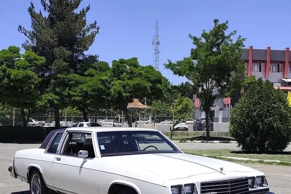 بیوک، لسابر